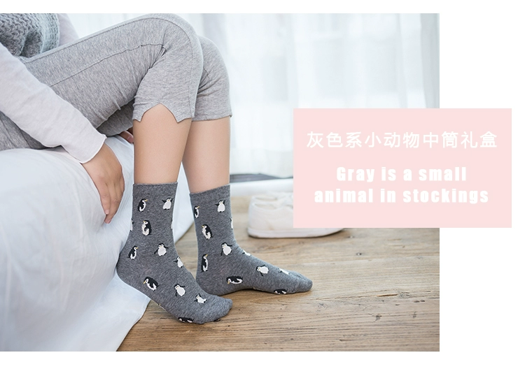 Caramella mùa thu và mùa đông bông phim hoạt hình nữ vớ hộp quà tặng stereo tai 3 đôi đóng hộp ống Nhật Bản và Hàn Quốc phiên bản của các trường đại học gió set tất vớ cao cấp
