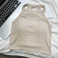 Абрикосовый