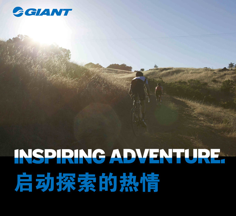 Pompe à vélo GIANT - Ref 2391947 Image 4