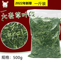A pound of oatgrass rabbit tender green barley grass dry Dutch pig guinea pig feed with a guinea pig 500g