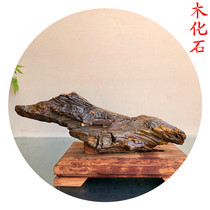 Xinjiang desert native silicified wood fossils strange weathered stones natural stones Chinese-style porch original stone ornaments