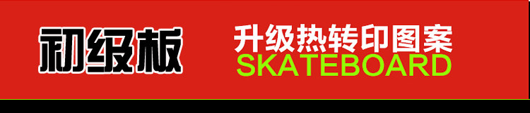 Skateboard pour homme femme enfant - Ref 2594463 Image 20