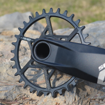 PASS disc ellipse 0mmNX XX X1 11 12 speed BOOST DUB GXP BB30 positive and negative tooth single disc