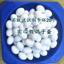 Pigeon equipment Carrier pigeon supplies Fake solid pigeon eggs Induced egg Pigeon supplies hatching supplies