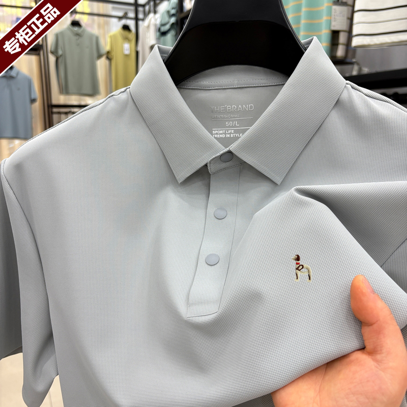 Rohagis Kaysan Silk Short-Sleeved T-Shirt for Men, New Summer High-End Men's Casual Polo Shirt, Ice Silk Top