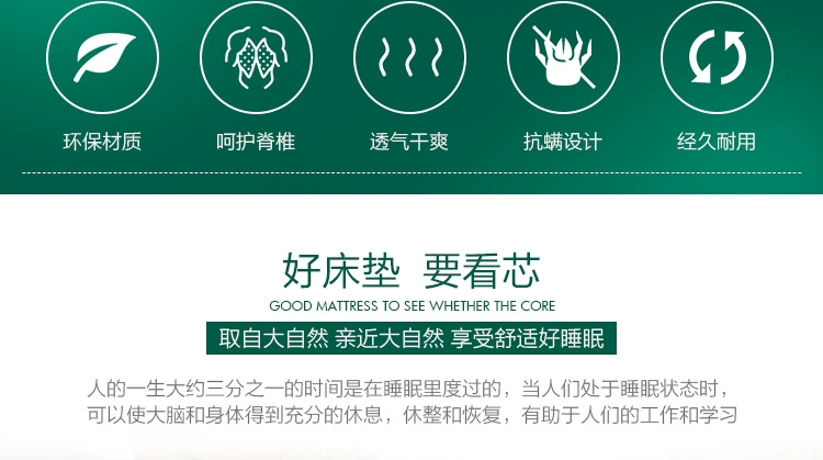 dừa tự nhiên cọ nệm 1,5 m 1,8 m 1,2 cứng Zongdian đơn đôi nệm cọ 10 cm nệm mỏng - Nệm