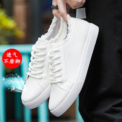 Men's shoes spring thin canvas shoes 2024 new breathable white casual shoes men's trendy versatile soft sole shoes