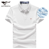 803 (Benbai) - издание шелкового издания ICE