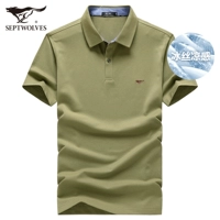 206 (Dou Green) - издание шелкового издания льда