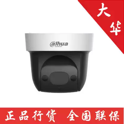 Dahua DH-SD2904-GN 2 inch 2 million 1080P HD network infrared ball machine 4 times optical zoom