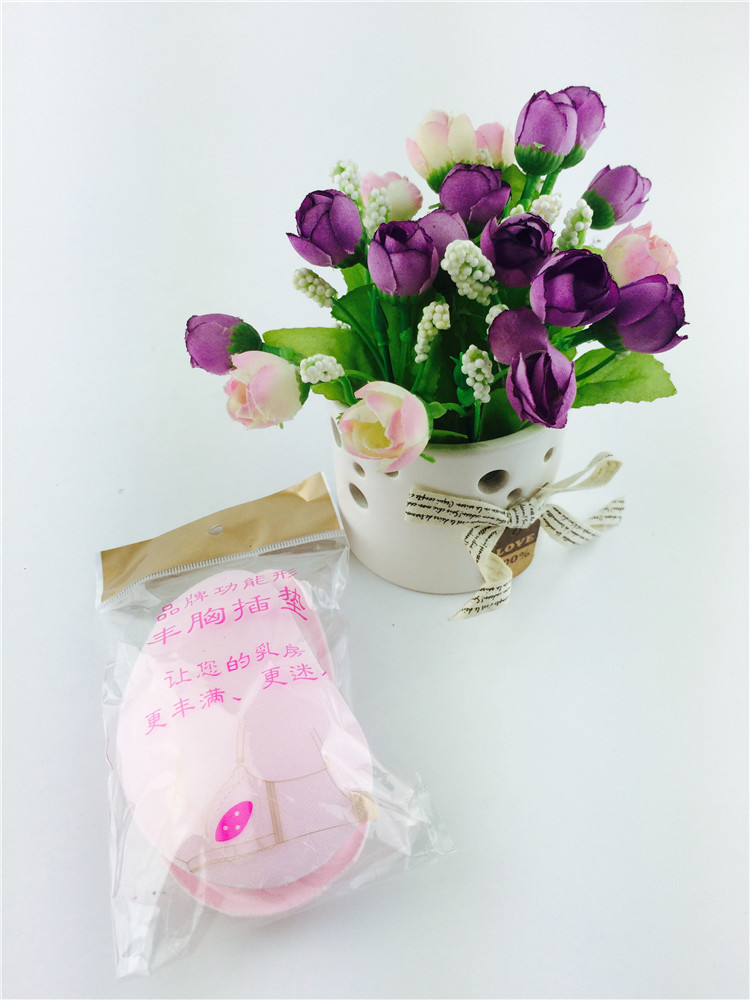 Pads pour soutien-gorge Inserts - Ref 831449 Image 10