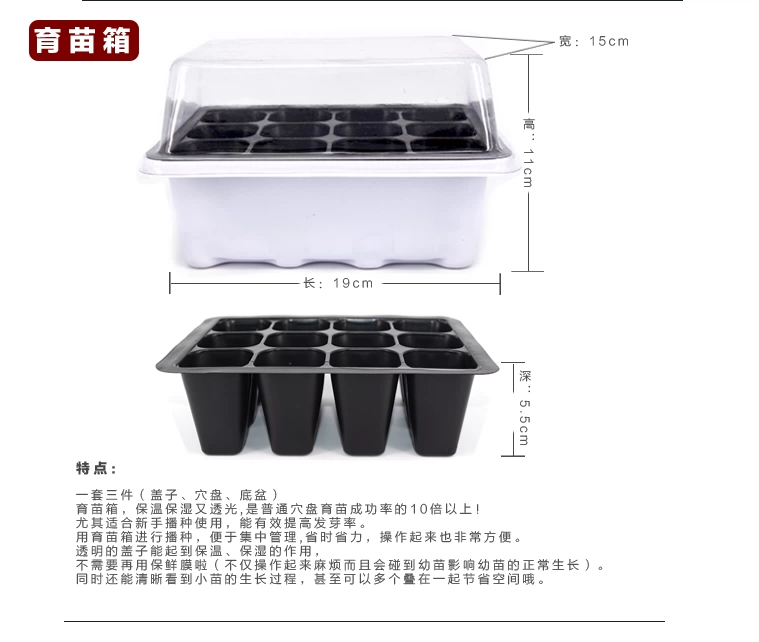 Ấm đun nước nhiều thịt Bóp bình tưới nước Dụng cụ làm vườn tại nhà tốt cho ấm nước tưới cây bền - Nguồn cung cấp vườn