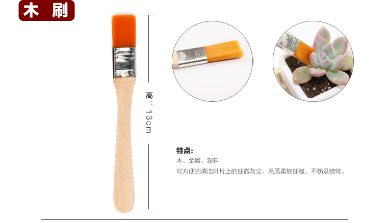Ấm đun nước nhiều thịt Bóp bình tưới nước Dụng cụ làm vườn tại nhà tốt cho ấm nước tưới cây bền - Nguồn cung cấp vườn dụng cụ làm cỏ vườn