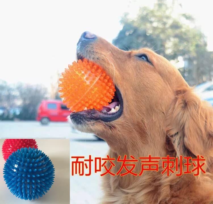 Pet dog medium and large dog sounding toy golden retriever bulls cleaning teeth molars bite-resistant toy thorn ball tpr pet ball