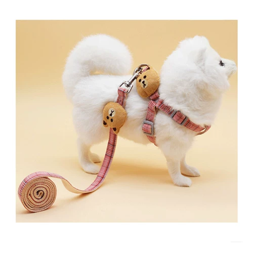 Кошка против беззамужного тяги Тедди Бомея Маленькая и средняя карикатура для собак, карикатурная карта, кошачья якорная цепь