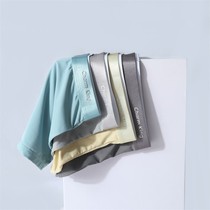 Solid color underwear les handsome t feminine hip lifting mid-waist ice silk feeling seamless breathable mid-high waist briefs boxer briefs