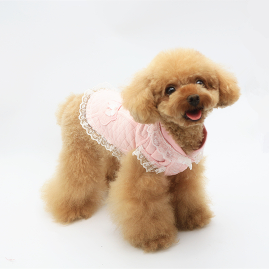 Aipet thú cưng Nhật Bản và Hàn Quốc quilted nhà ren nhỏ vest VIP Teddy quần áo thú cưng váy - Quần áo & phụ kiện thú cưng áo múa lân cho chó
