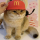 Шапка McDonald's с рацией, шапка для домашних животных, шляпа от солнца, шляпа от солнца, кошачья шапка, вставьте ее, чтобы сделать забавные и милые снимки mini 4