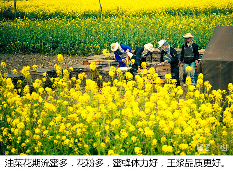 06-Bee Farm 14.jpg