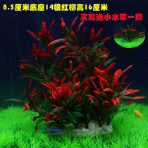 Simulated aquatic plants fish tank decoration landscaping soft willow leaves green grass plastic grass fake grass goldfish tank grass foreground red willow