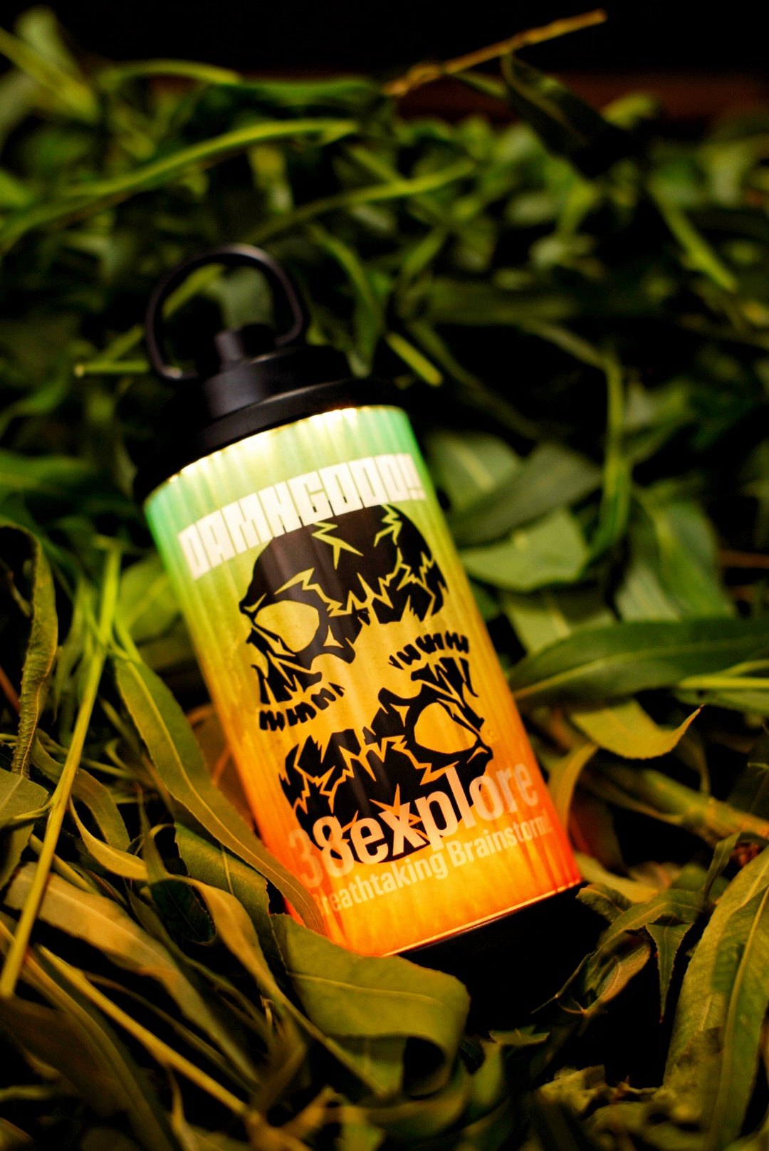 38灯 DAMNGOOD FS LTD 38Explore