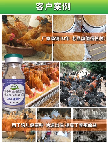 Специальные пробиотические птенцы EM для цыплят для обработки курицы для лечения желудочно -кишечных профилактиков и птицеводства с композиционными бактериями Yuqi Fufu Cicken Berbon