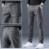 Spring and autumn casual pants mens 2021 new trend straight loose trend high end stretch Joker mens long pants