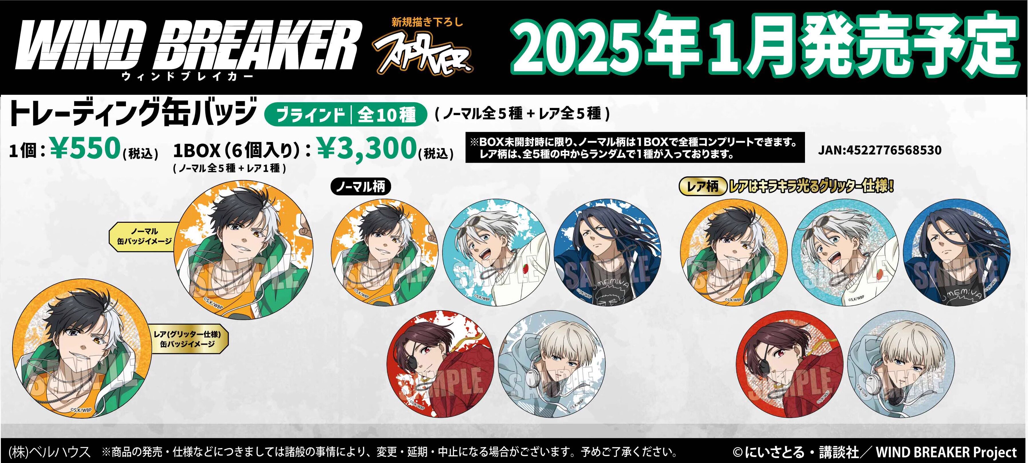 Wind Breaker Skateboard Badge Official Metal Pin - Product image 8