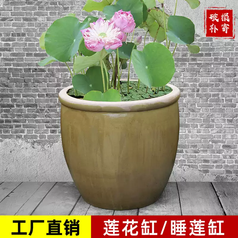 大型戶外陶瓷荷花缸庭院睡蓮專用金魚缸花盆