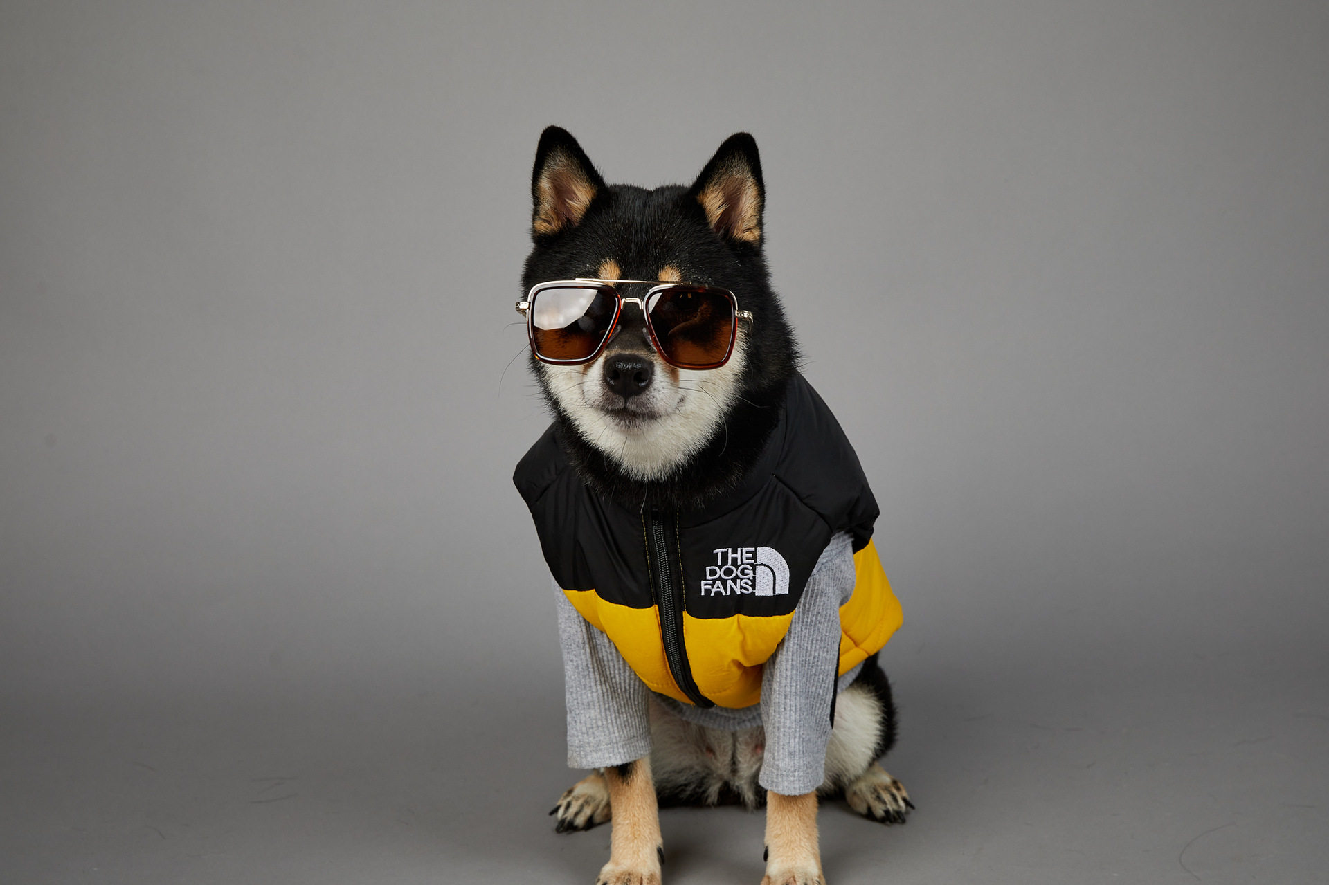 한정 한정 되지 되지