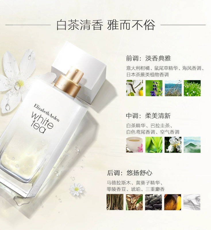 Nước hoa trà trắng Elizabeth Arden Bà nước hoa Thanh lịch Tính cách Hoa tươi Phương Đông Hương thơm