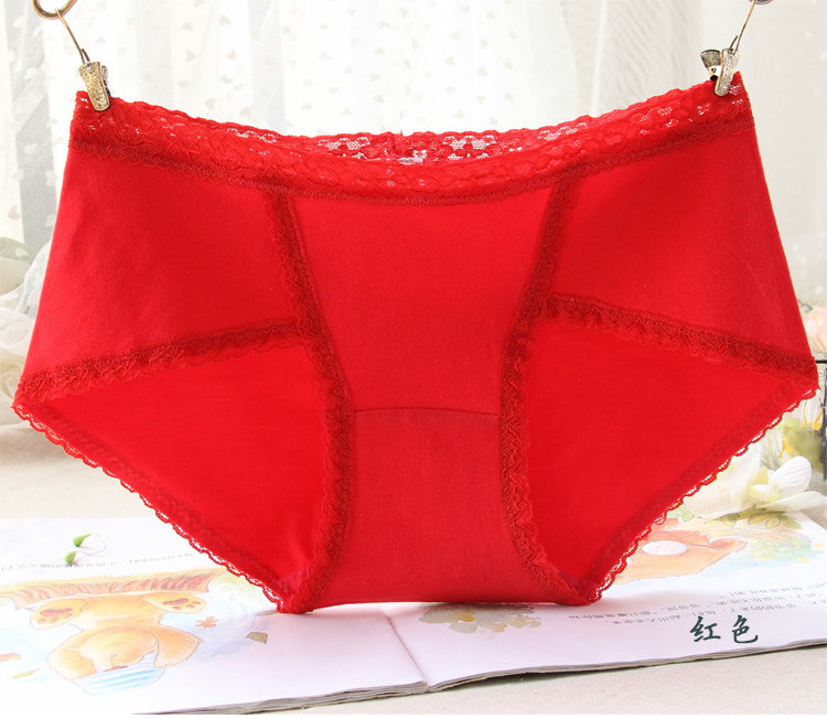 Slip W9349 en coton - Ref 641958 Image 15