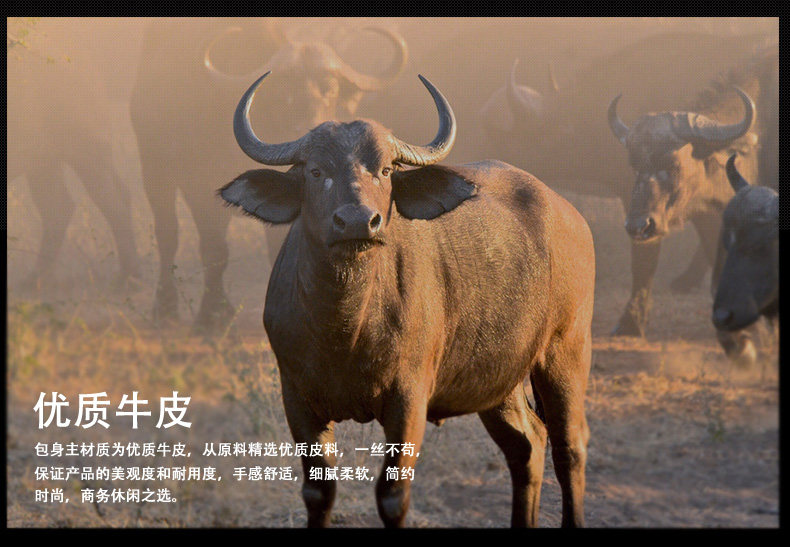 Sac pour homme - Ref 52988 Image 18