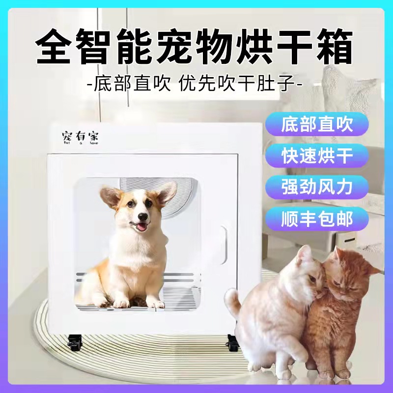 Pet drying box small hair blower household dog water blower cat bath blow dryer mute automatic