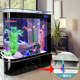 Bullet fish tank living room household medium-sized aquarium glass 1.2 meters 1.5 meters ecological floor screen fish tank