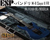 M-II Sayo II FR 20% депозит