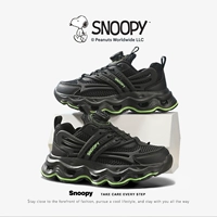 Черный и зеленый [спорт]