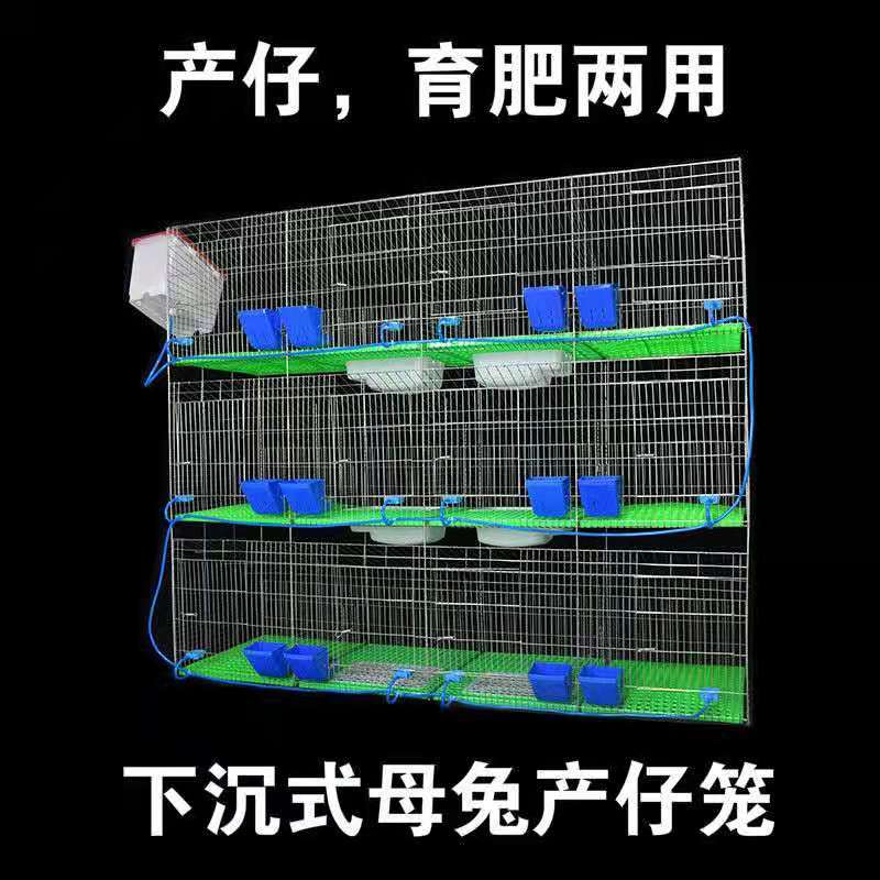 The sinking box of the hare cage is coarsed 12 - bit commodity rabbit cage special rabbit farming cage