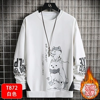 T872 White [Посылки]