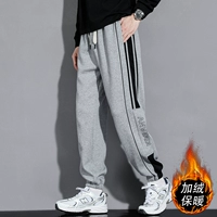 2303 Grey [добавить бархат]