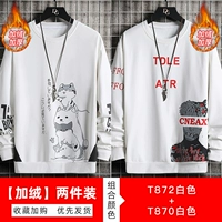 T872 White [PLEL]+T870 White [PLEL]