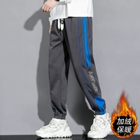 2303 темно-серый [плюс бархат]