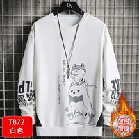 T872 White [Посылки]