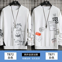 T872 White+T871 White