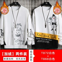 T872 White [PLEL]+T868 White [PLEL]