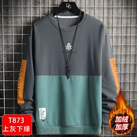 T873 серо -зеленый [добавить дольверы]