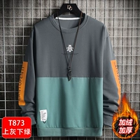 T873 серо -зеленый [добавить дольверы]