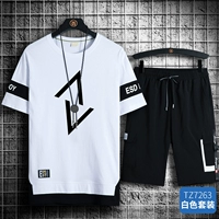 TZ7263 Белый набор