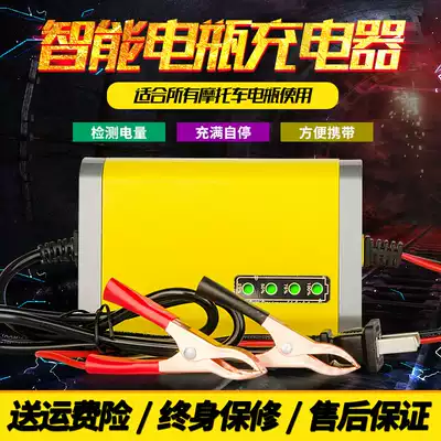 Uxin pedal Locomotive Battery Charger smart battery repair charger 12v Volt battery charger