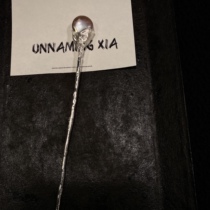  Bloody star fishy hairpin one-word hairpin hair insert plate dark black niche original design custom handmade silver hairpin